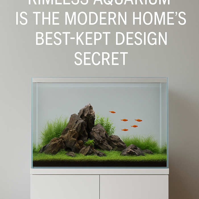 Why This 65-Gallon Rimless Aquarium Is the Modern Home’s Best-Kept Design Secret