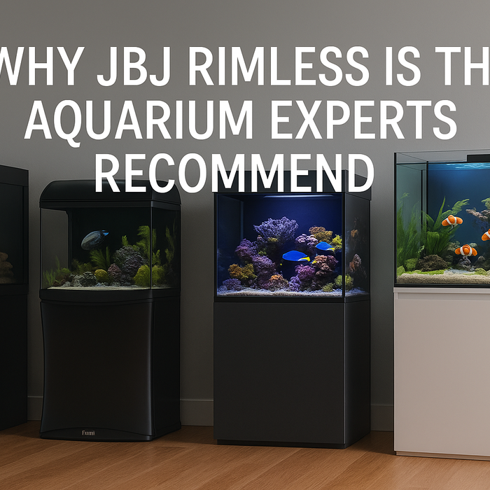 Why JBJ Rimless Is the Aquarium Experts Recommend: A Comparison Deep Dive