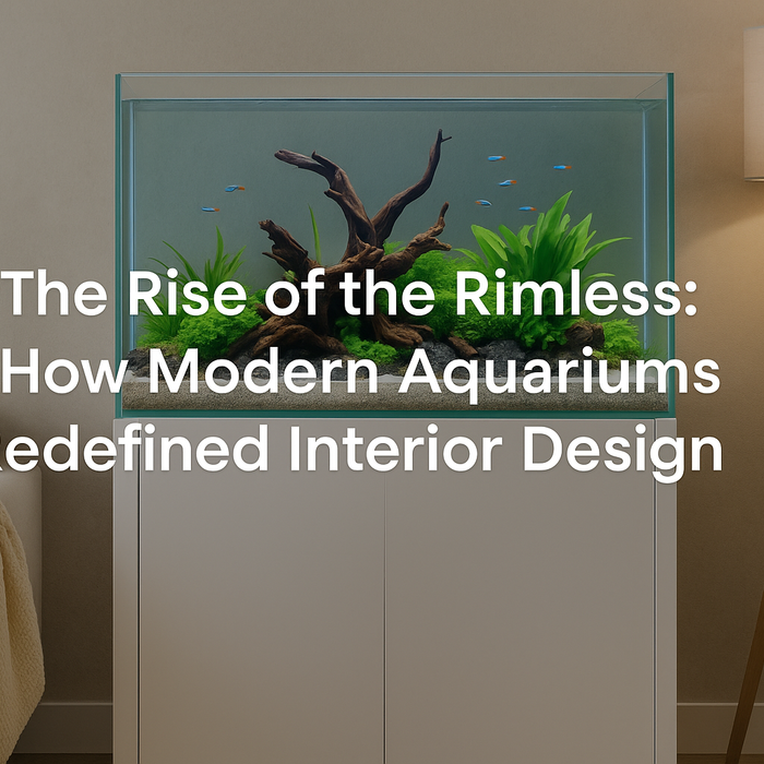 The Rise of the Rimless: How Modern Aquariums Redefined Interior Design