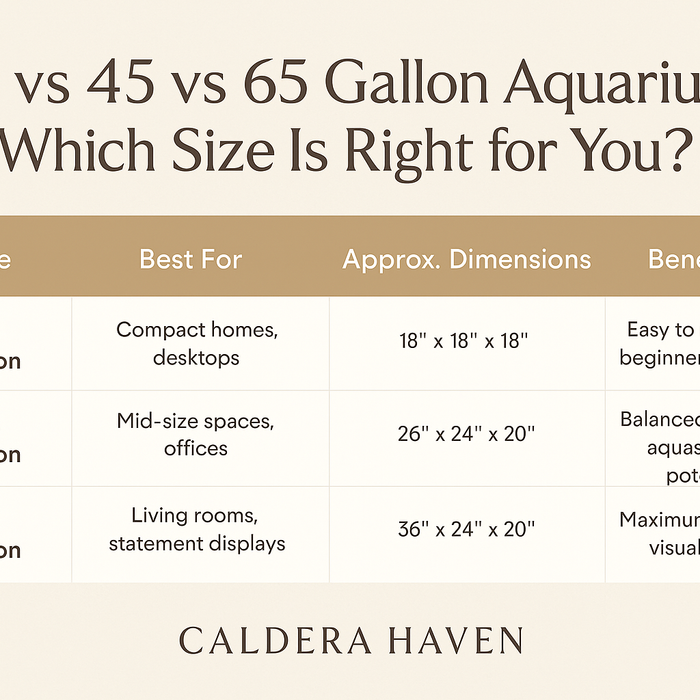 25 vs 45 vs 65 Gallon Aquariums: Which Size Is Right for You?