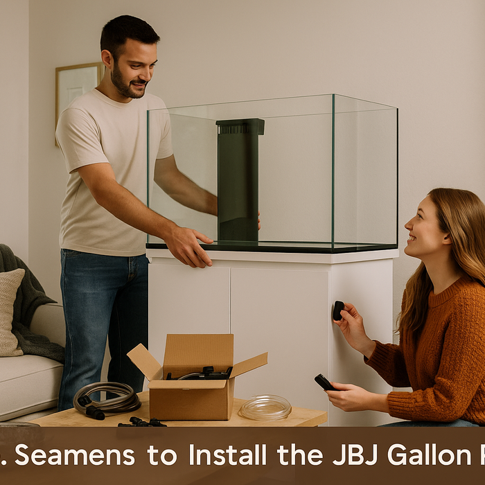 Simple. Seamless. Stunning: How Easy It Is to Install the JBJ 65-Gallon Rimless Aquarium