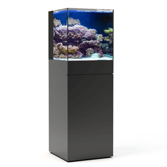 JBJ 25-Gallon AIO Rimless Aquarium Kit with Black Stand – Compact Saltwater or Freshwater Setup