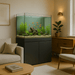 JBJ 65-Gallon Rimless Flat Panel Aquarium – with Black Stand