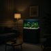 JBJ 65-Gallon Rimless Flat Panel Aquarium – with Black Stand