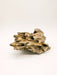 JBJ Dragon Stone – 44 lb Box Striking Aquascapes & Natural Hardscaping