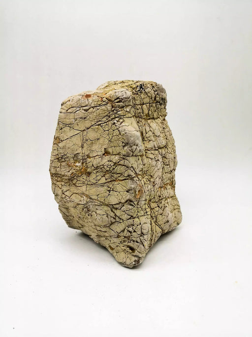 JBJ Elephant Skin Stone – 44 lb Box of S & M Sizes for Natural Aquascaping & Textured Hardscape Designs