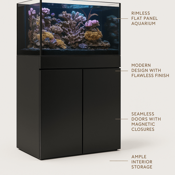 JBJ 65-Gallon Rimless Flat Panel Aquarium – with Black Stand