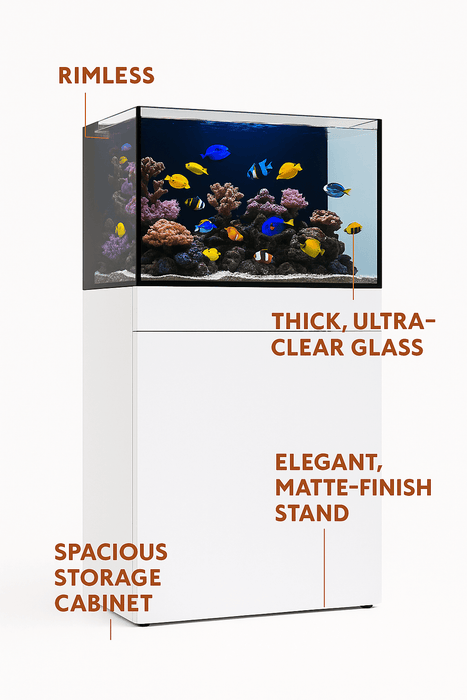 JBJ 45-Gallon AIO Rimless Aquarium Kit with White Stand – Modern Saltwater or Freshwater Tank Setup