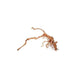 JBJ Spiderwood – Eye-Catching Natural Branch Wood in Sizes S to XXL for Aquascaping & Reptile Habitats