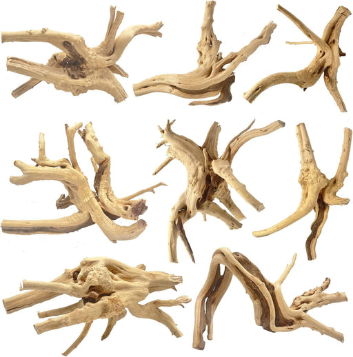 JBJ Spiderwood – Eye-Catching Natural Branch Wood in Sizes S to XXL for Aquascaping & Reptile Habitats