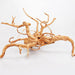 JBJ Spiderwood – Eye-Catching Natural Branch Wood in Sizes S to XXL for Aquascaping & Reptile Habitats