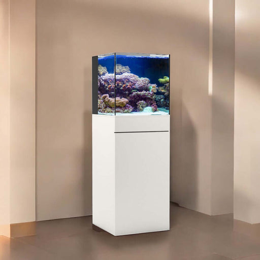 JBJ 25-Gallon AIO Rimless Aquarium Kit with White Stand – Compact Saltwater or Freshwater Setup