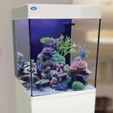 JBJ CN-20-W 20G Cubey Nano Aquarium in White – Modern All-in-One Aquarium for Reef or Freshwater Aquascapes