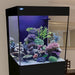 JBJ CB-20-B 20G Cubey Nano Aquarium in Black – Sleek All-in-One Tank for Reef or Freshwater Systems