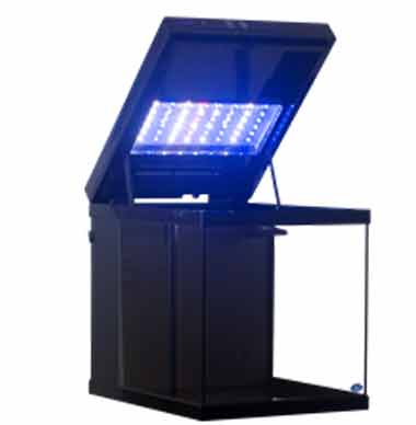JBJ CB-20-B 20G Cubey Nano Aquarium in Black – Sleek All-in-One Tank for Reef or Freshwater Systems